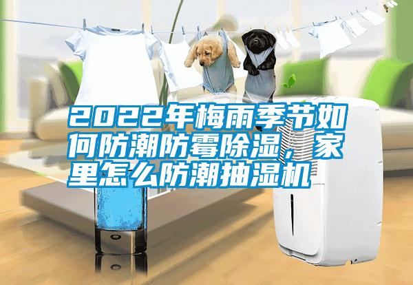 2022年梅雨季節如何防潮防霉除濕，家里怎么防潮抽濕機