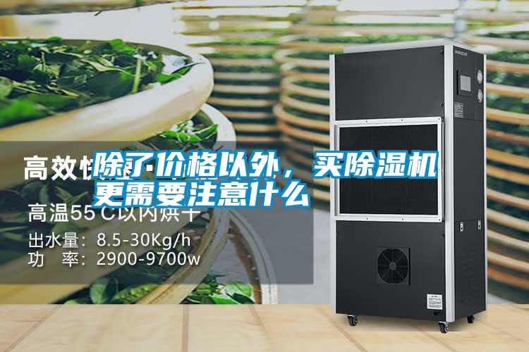 除了價格以外,買除濕機更需要注意什么