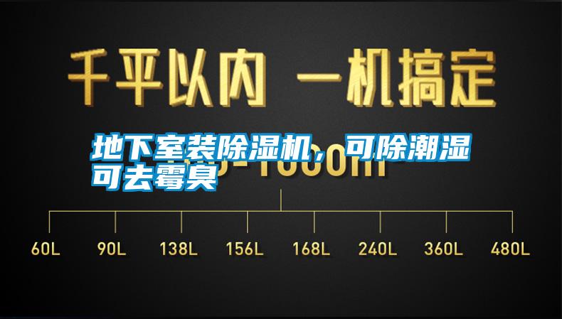 地下室裝除濕機(jī),可除潮濕可去霉臭