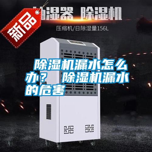  除濕機漏水怎么辦？ 除濕機漏水的危害