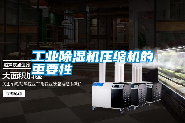 工業除濕機壓縮機的重要性