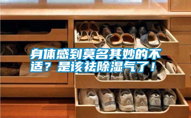 身體感到莫名其妙的不適?是該祛除濕氣了!