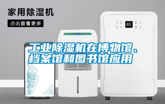 工業(yè)除濕機在博物館、檔案館和圖書館應用