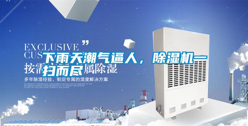 下雨天潮氣逼人，除濕機一掃而盡