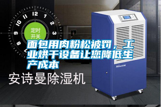 面包用肉粉松被罰,工業(yè)烘干設(shè)備讓您降低生產(chǎn)成本