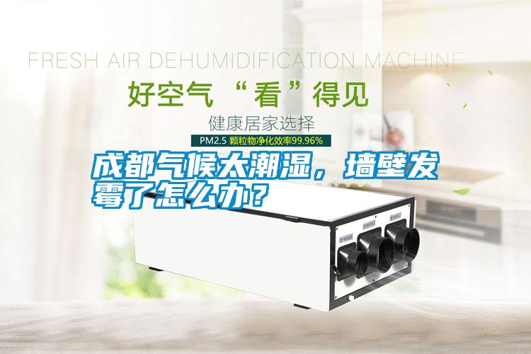 成都氣候太潮濕，墻壁發霉了怎么辦？