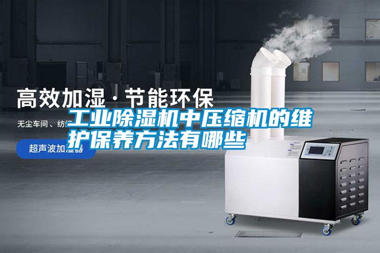 工業除濕機中壓縮機的維護保養方法有哪些