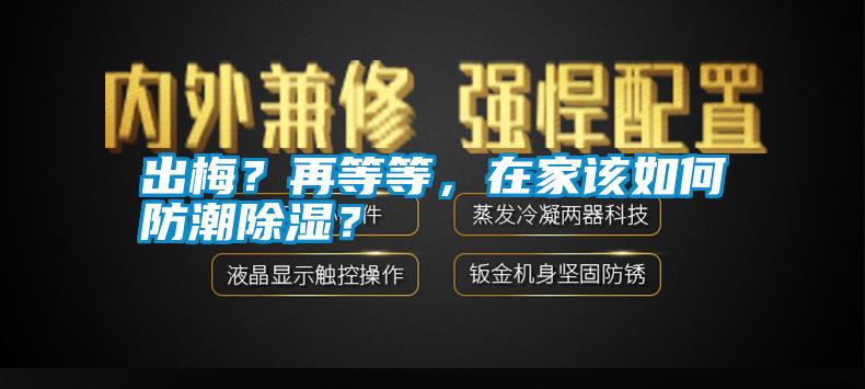出梅？再等等，在家該如何防潮除濕？