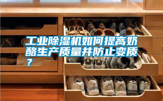 工業除濕機如何提高奶酪生產質量并防止變質？