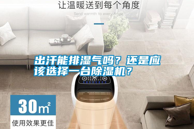 出汗能排濕氣嗎?還是應該選擇一臺除濕機?