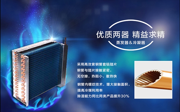 濕冷冬季，如何應對