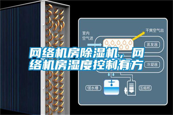 網(wǎng)絡(luò)機(jī)房除濕機(jī),網(wǎng)絡(luò)機(jī)房濕度控制有方