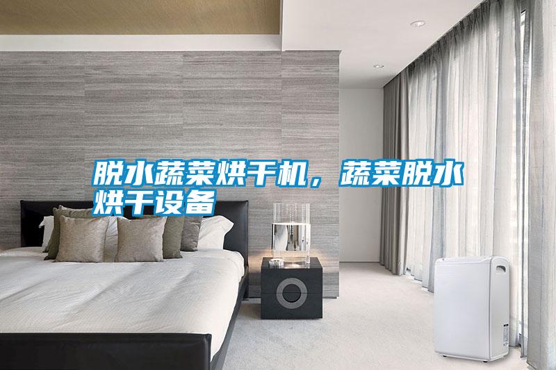 脫水蔬菜烘干機，蔬菜脫水烘干設備