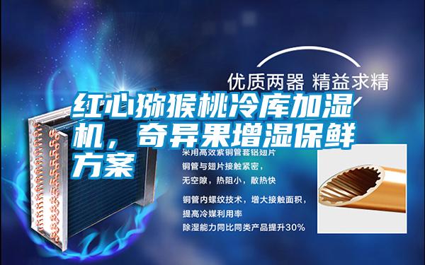 紅心獼猴桃冷庫加濕機,奇異果增濕保鮮方案