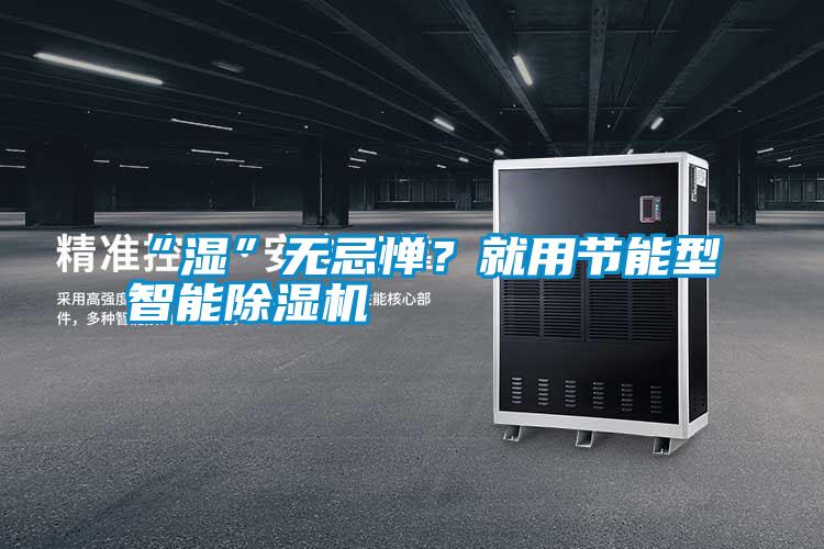 “濕”無忌憚？就用節能型智能除濕機