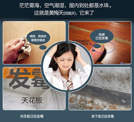 吊裝式中央除濕機(jī)，滿足全屋除濕需求
