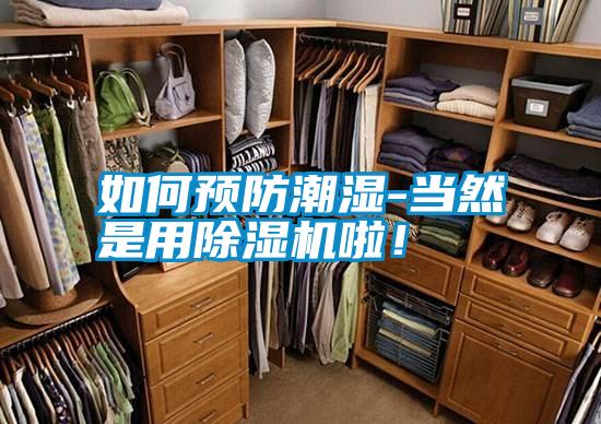 如何預防潮濕-當然是用除濕機啦！