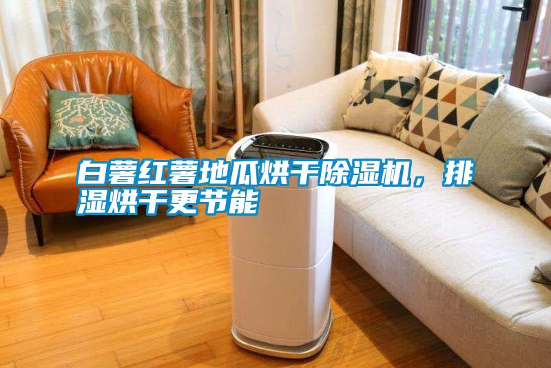 白薯紅薯地瓜烘干除濕機(jī)，排濕烘干更節(jié)能