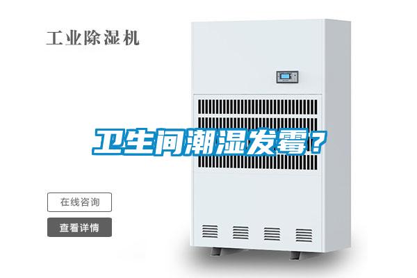 衛生間潮濕發霉?