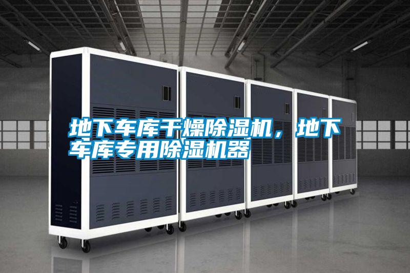 地下車庫(kù)干燥除濕機(jī)，地下車庫(kù)專用除濕機(jī)器