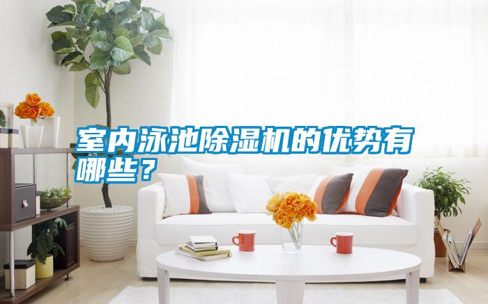 室內泳池除濕機的優勢有哪些？