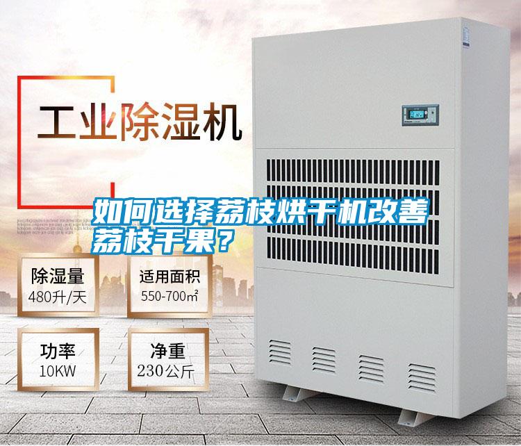 如何選擇荔枝烘干機(jī)改善荔枝干果？