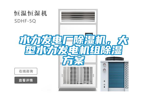 水力發(fā)電廠(chǎng)除濕機(jī),大型水力發(fā)電機(jī)組除濕方案