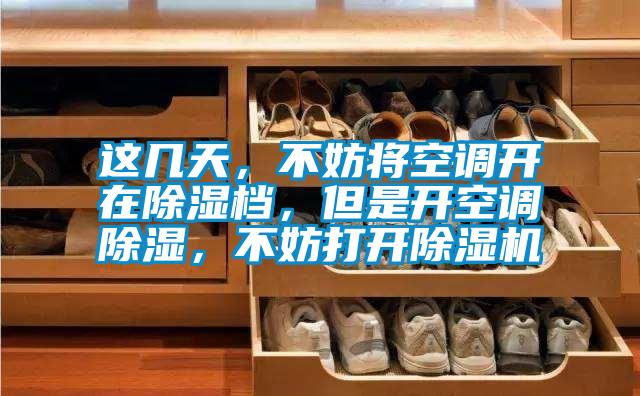 這幾天，不妨將空調(diào)開(kāi)在除濕檔，但是開(kāi)空調(diào)除濕，不妨打開(kāi)除濕機(jī)