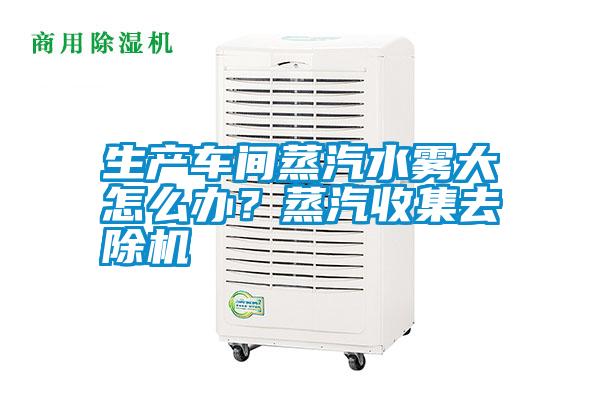 生產車間蒸汽水霧大怎么辦？蒸汽收集去除機
