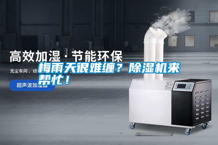 梅雨天很難纏?除濕機(jī)來幫忙!