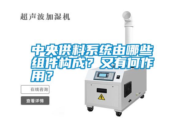 中央供料系統由哪些組件構成？又有何作用？