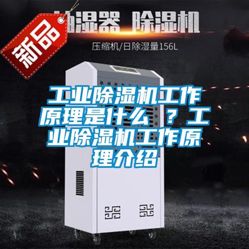 工業除濕機工作原理是什么 ？工業除濕機工作原理介紹