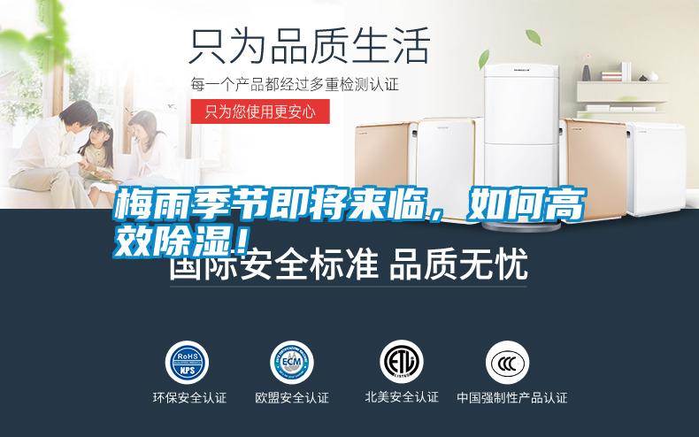 梅雨季節即將來臨，如何高效除濕！