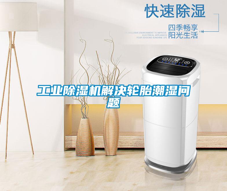 工業(yè)除濕機(jī)解決輪胎潮濕問(wèn)題