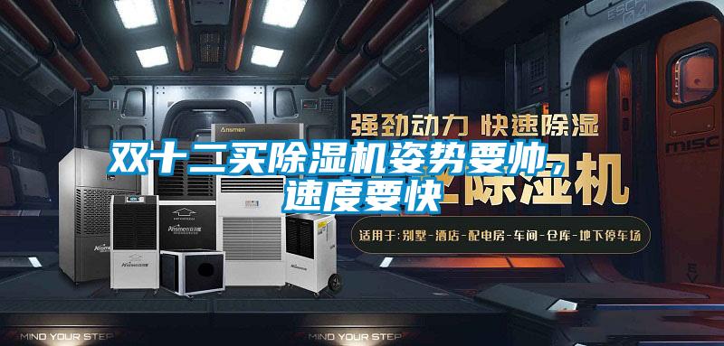 雙十二買(mǎi)除濕機(jī)姿勢(shì)要帥， 速度要快