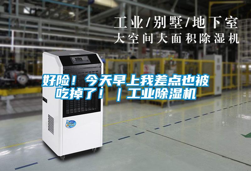 好險!今天早上我差點也被吃掉了!|工業除濕機