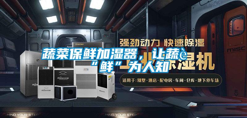 蔬菜保鮮加濕器，讓蔬菜“鮮”為人知