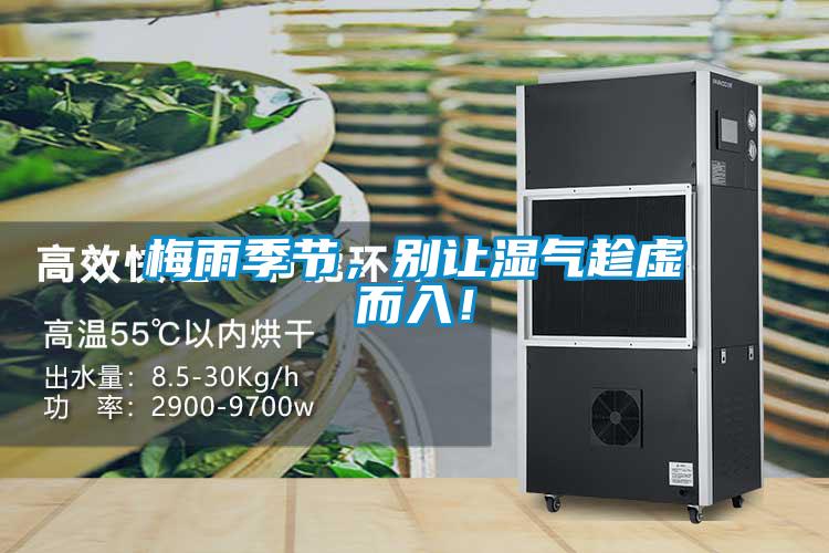 梅雨季節(jié)，別讓濕氣趁虛而入！