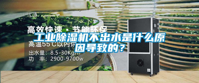 工業除濕機不出水是什么原因導致的？