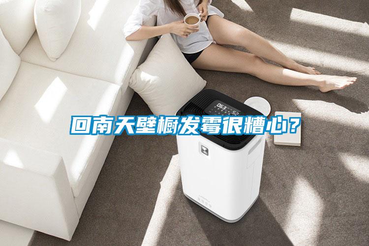 回南天壁櫥發霉很糟心?