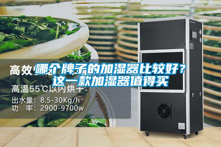 哪個牌子的加濕器比較好？這一款加濕器值得買