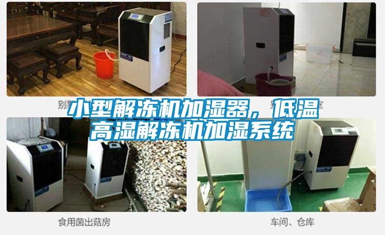 小型解凍機加濕器,低溫高濕解凍機加濕系統