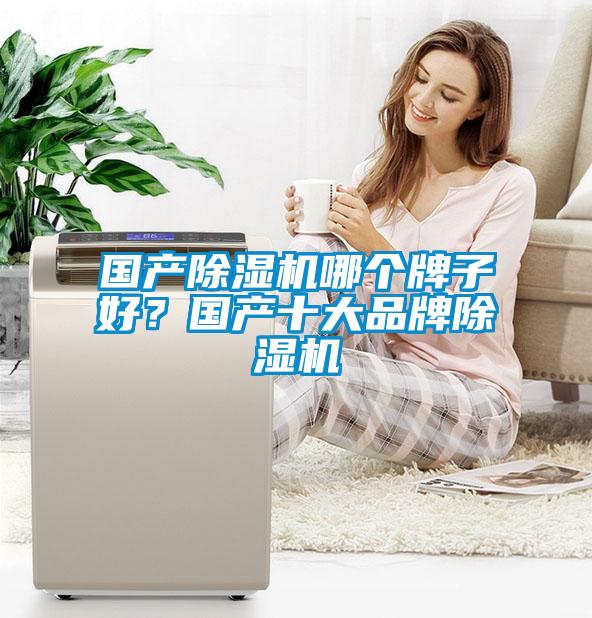 國產(chǎn)除濕機(jī)哪個牌子好？國產(chǎn)十大品牌除濕機(jī)