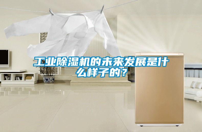 工業除濕機的未來發展是什么樣子的？