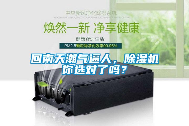 回南天潮氣逼人,除濕機你選對了嗎?