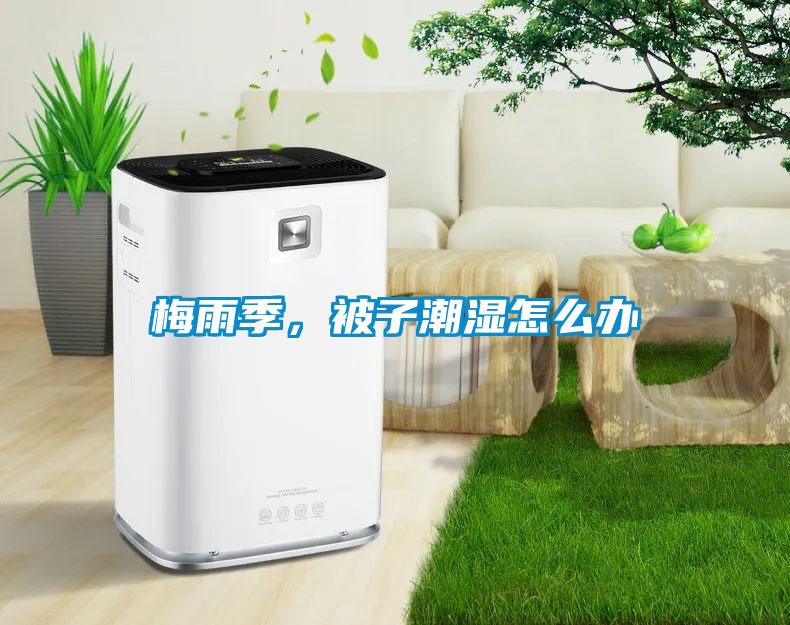 梅雨季，被子潮濕怎么辦