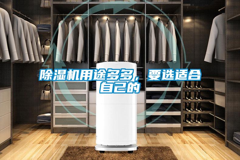 除濕機用途多多,要選適合自己的