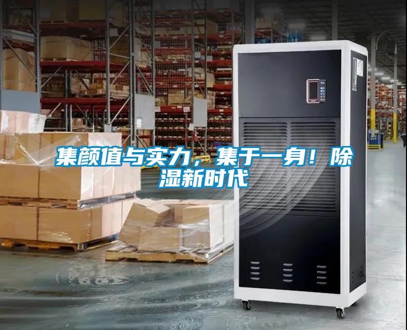 集顏值與實力，集于一身！除濕新時代