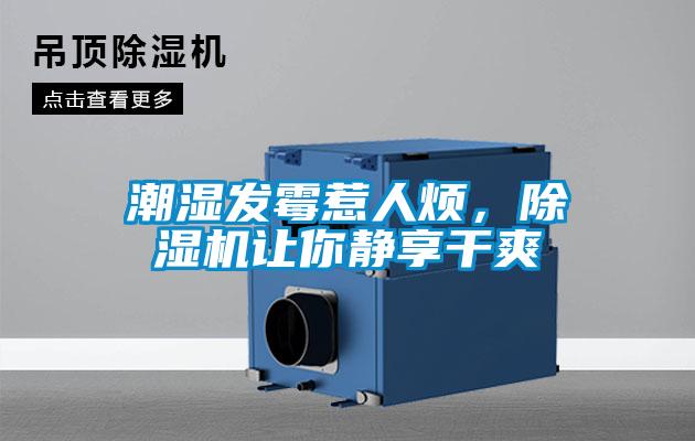 潮濕發(fā)霉惹人煩,除濕機讓你靜享干爽