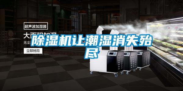 除濕機讓潮濕消失殆盡